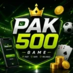 Pak500 Game