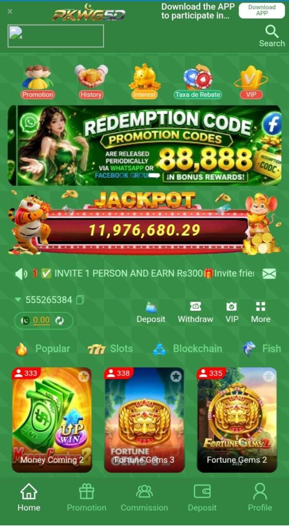 PKWG5D Game